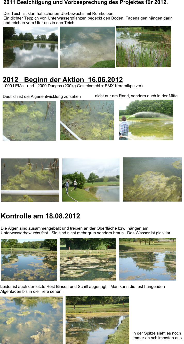 2011 Besichtigung und Vorbesprechung des Projektes f�r 2012.Der Teich ist klar, hat sch�nen Uferbewuchs mit Rohrkolben.  Ein dichter Teppich von Unterwasserpflanzen bedeckt den Boden, Fadenalgen h�ngen darin und reichen vom Ufer aus in den Teich. 2012   Beginn der Aktion  16.06.2012                1000 l EMa   und   2000 Dangos (200kg Gesteinmehl + EMX Keramikpulver)  Deutlich ist die Algenentwicklung zu sehen nicht nur am Rand, sondern auch in der Mitte Kontrolle am 18.08.2012  Die Algen sind zusammengeballt und treiben an der Oberfl�che bzw. h�ngen am Unterwasserbewuchs fest.  Sie sind nicht mehr gr�n sondern braun.  Das Wasser ist glasklar.  Leider ist auch der letzte Rest Binsen und Schilf abgenagt.  Man kann die fest h�ngenden Algenf�den bis in die Tiefe sehen.  in der Spitze sieht es noch immer an schlimmsten aus.